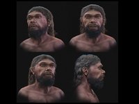Voilà à quoi pouvait ressembler un Homo sapiens il y a 300.000 ans